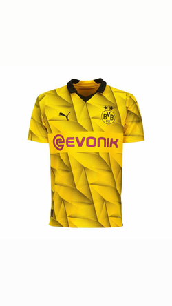 Borussia Dortmund Special Cup Jersey